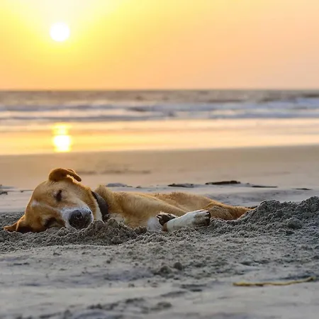 Waterkant In Der Seefahrtschule Appartamento *