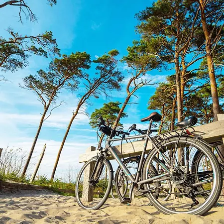 Waterkant In Der Seefahrtschule Wustrow (Fischland)